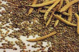 Guar Gum Manufacturer Supplier Wholesale Exporter Importer Buyer Trader Retailer in MUMBAI Maharashtra India